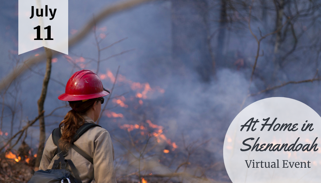 Wildfires, Wild Lands – Virtual Event