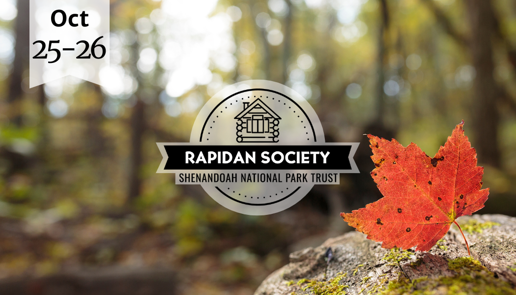 Rapidan Society Weekend in the Park