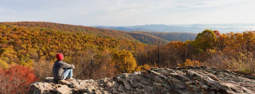 Veterans Day – Fee-Free Entrance to SNP